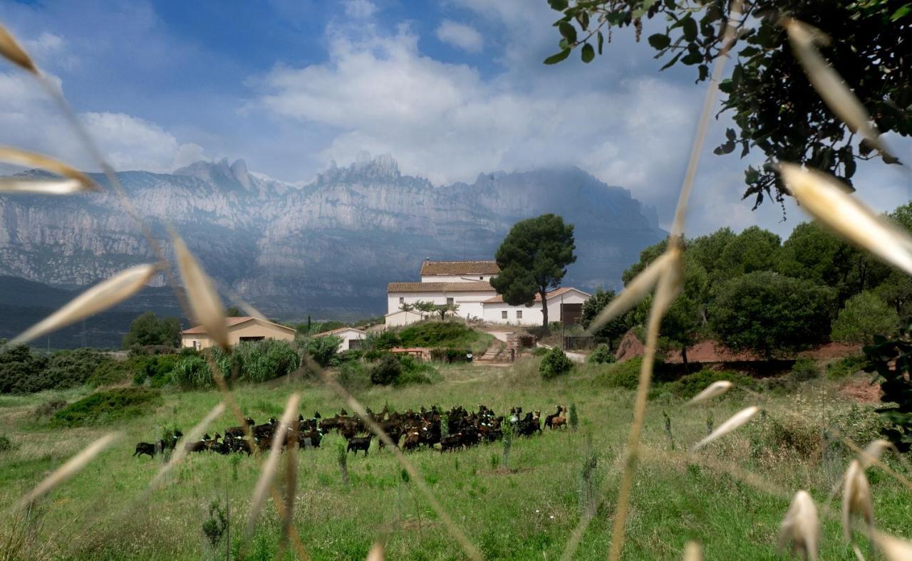 La Frasera Alojamiento Rural Vacarisas 외부 사진